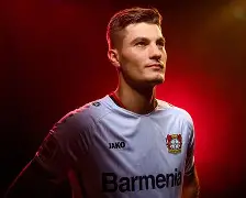 斯图加特客场落败，勒沃库森晃里奇世家贡献进球的简单介绍