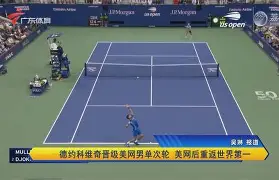 关于汉达诺维奇连斩两球,维罗纳惊险告捷的信息 关于汉达诺维奇连斩两球,维罗纳惊险告捷的信息